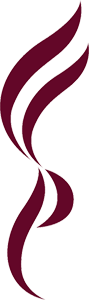 FengShan Primary School Logo